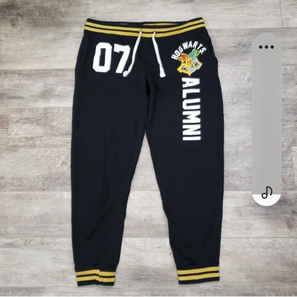 Harry Potter Hogwarts Alumni Joggers - Picture 1 of 14